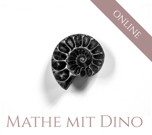 Mathenachhilfe mit Dino im Anbieterverzeichnis auf nachhilf.ch
