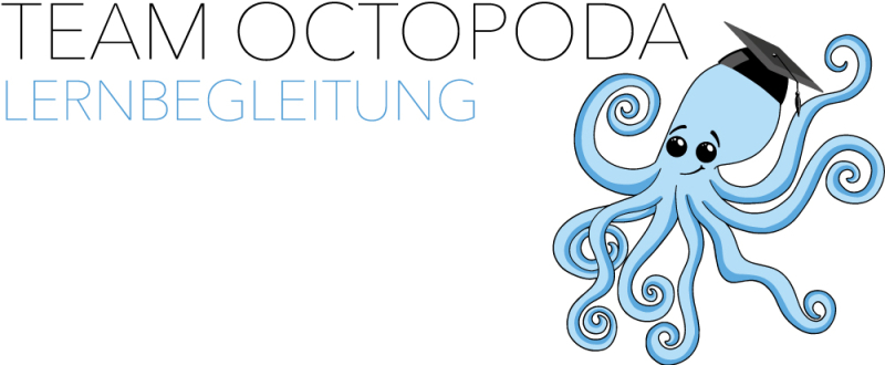 Team Octopoda - Lernbegleitung